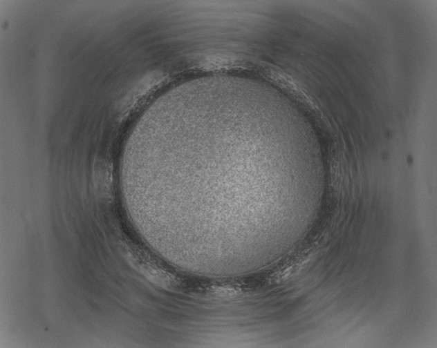 X0000068890592200605081322