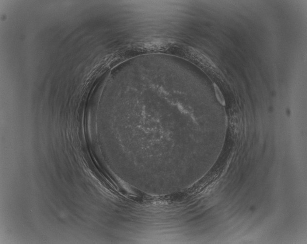 X0000068890593200605081322