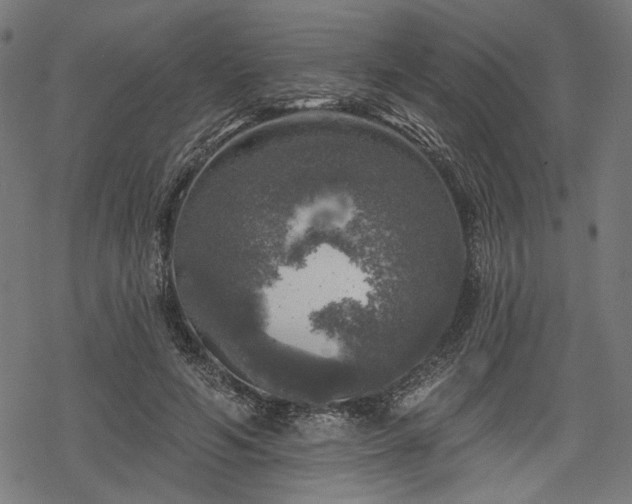 X0000068890594200605081322