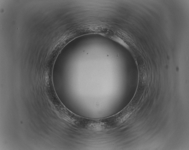 X0000068890595200605081322