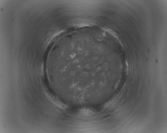 X0000068890596200605081322