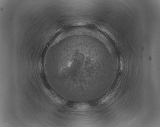 X0000068890597200605081322