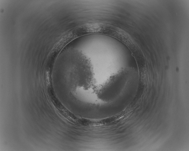 X0000068890598200605081322