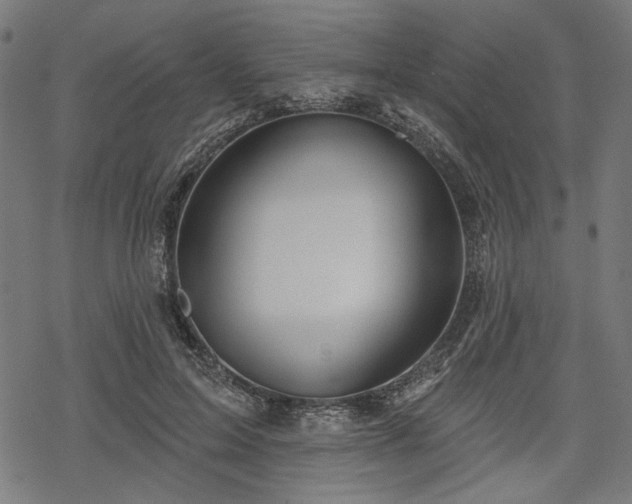 X0000068890599200605081321