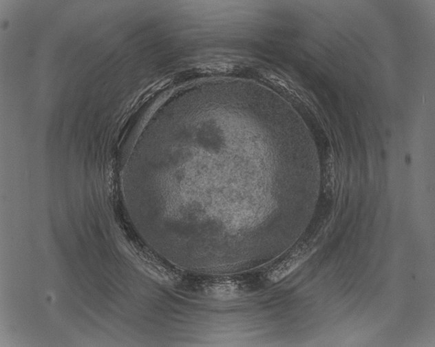 X0000068890600200605081321