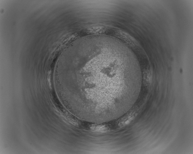 X0000068890602200605081321