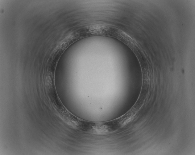 X0000068890603200605081321