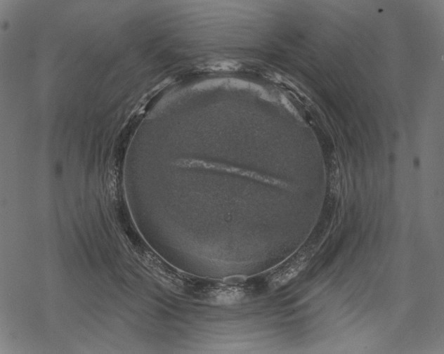 X0000068890604200605081321