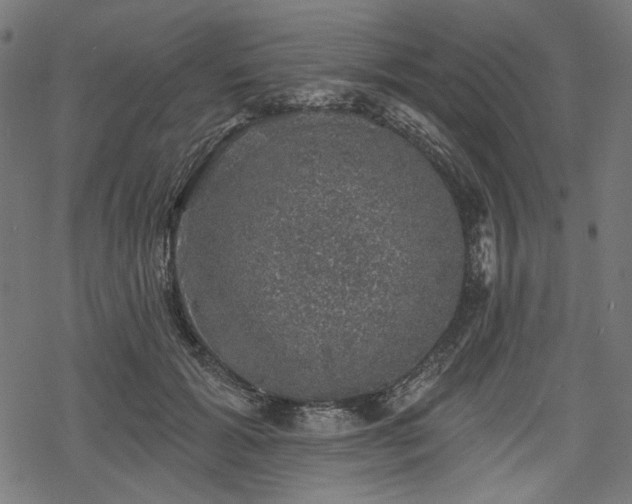 X0000068890605200605081321