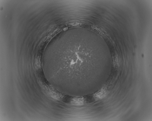 X0000068890606200605081321