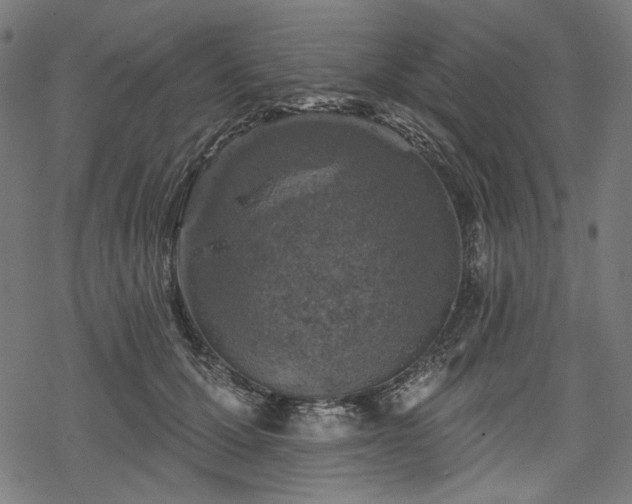 X0000068890607200605081321