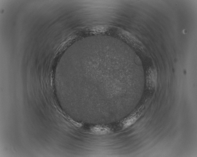 X0000068890608200605081321