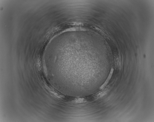 X0000068890609200605081321