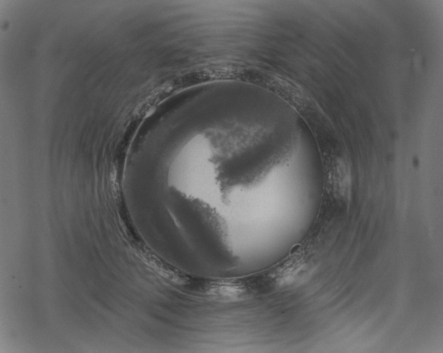 X0000068890610200605081321