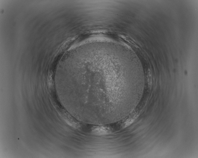 X0000068890611200605081321