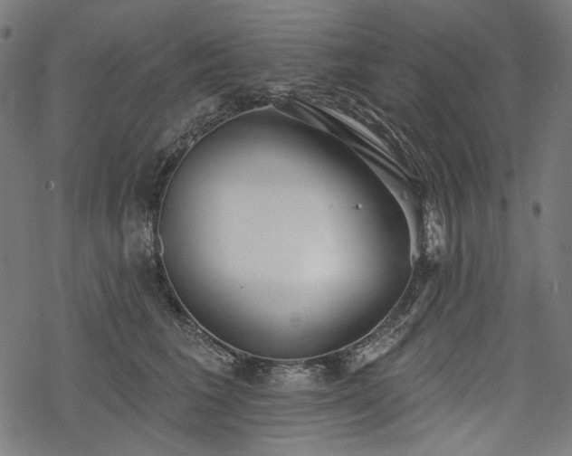 X0000068890613200605081321