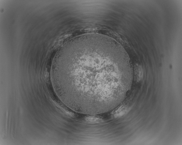 X0000068890614200605081321