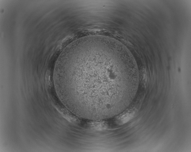 X0000068890615200605081321