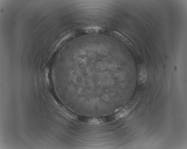 X0000068890616200605081321