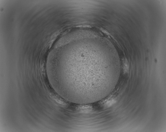 X0000068890619200605081321