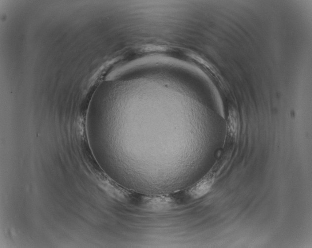 X0000068890621200605081321