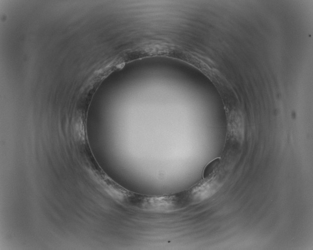 X0000068890622200605081321