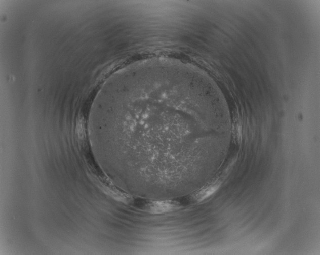 X0000068890623200605081321