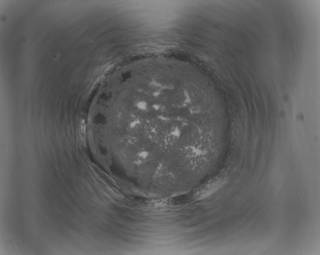 X0000068890624200605081321