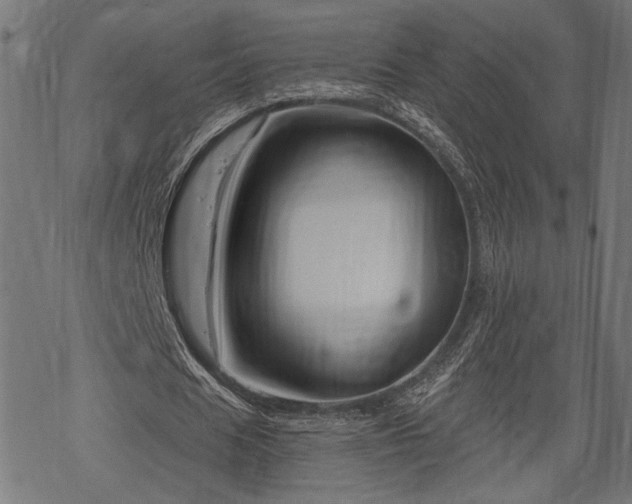 X0000068890625200605081320