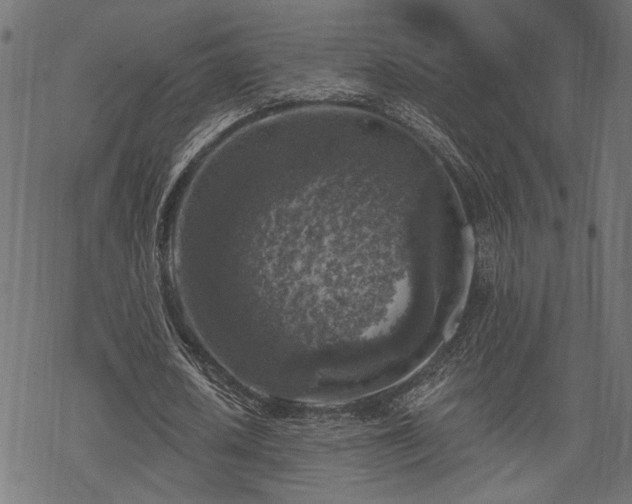 X0000068890626200605081320