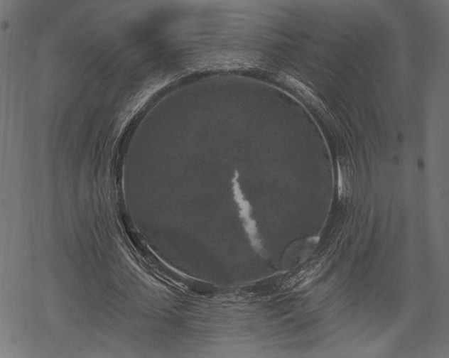 X0000068890627200605081320