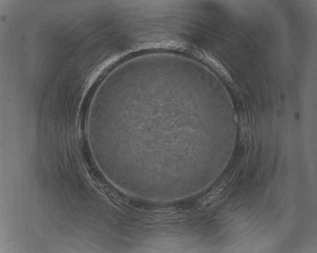 X0000068890628200605081320