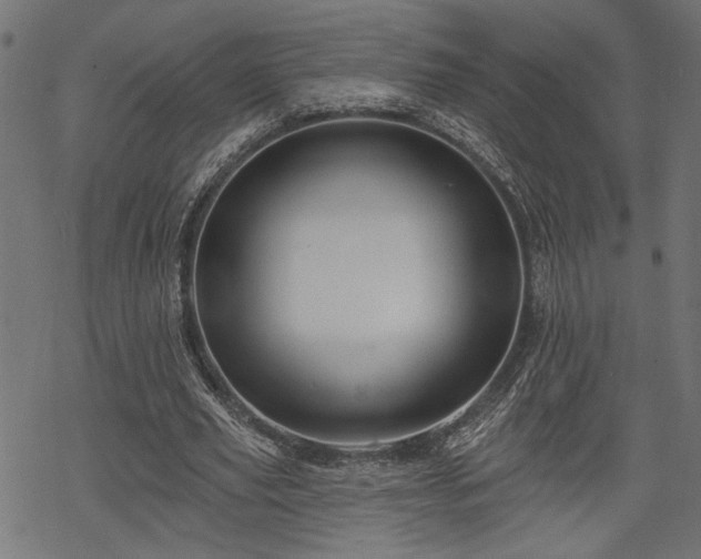 X0000068890629200605081320