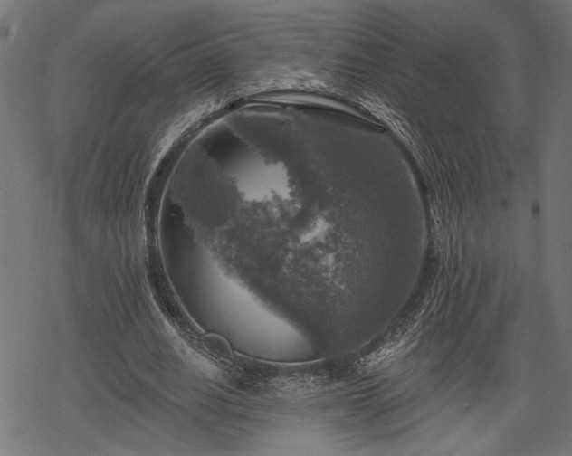 X0000068890630200605081320