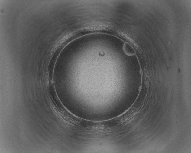 X0000068890631200605081320