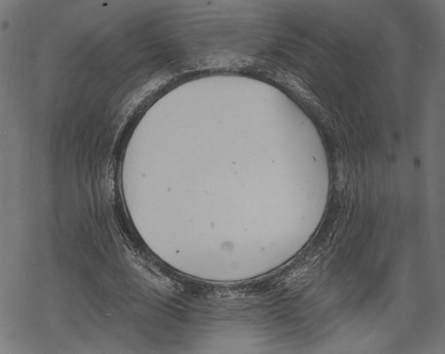 X0000068890632200605081320