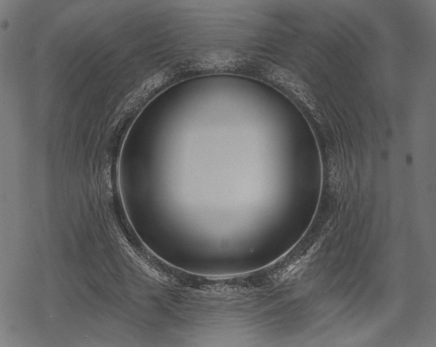 X0000068890633200605081320