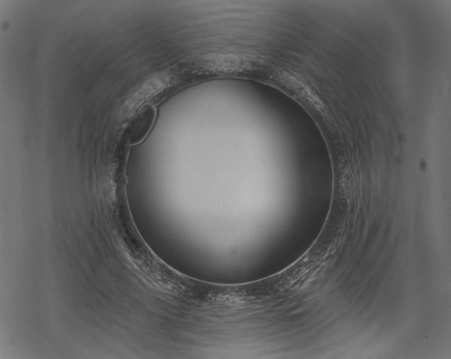 X0000068890635200605081320