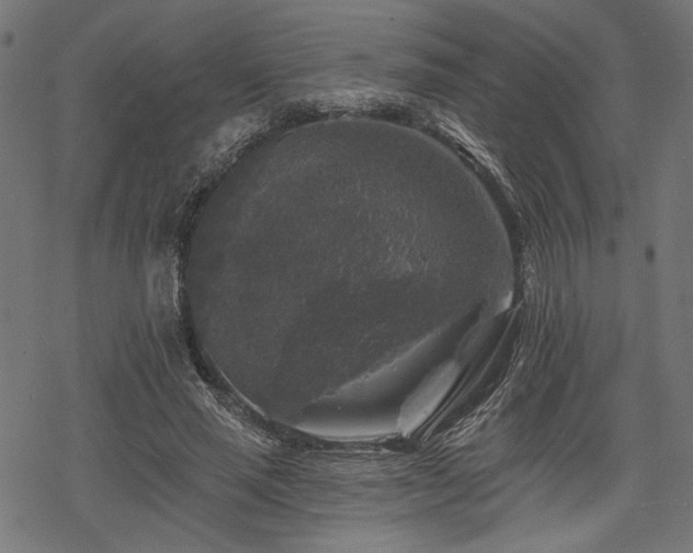 X0000068890637200605081320