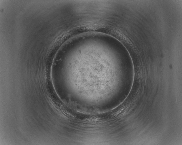 X0000068890639200605081320