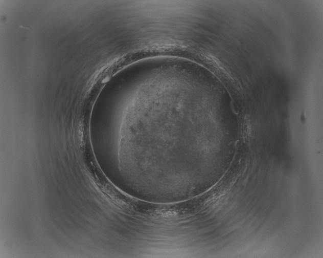 X0000068890640200605081320