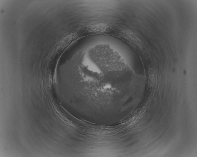 X0000068890641200605081320