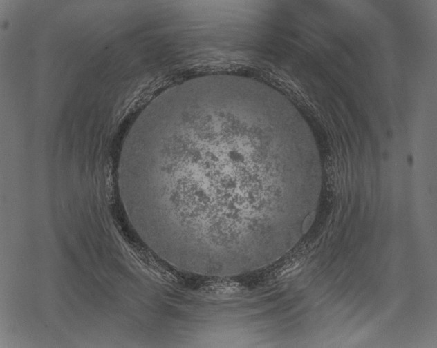 X0000068890642200605081320