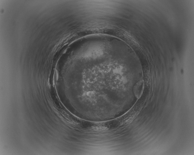 X0000068890644200605081321