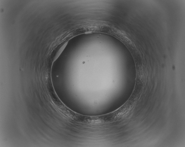 X0000068890645200605081321