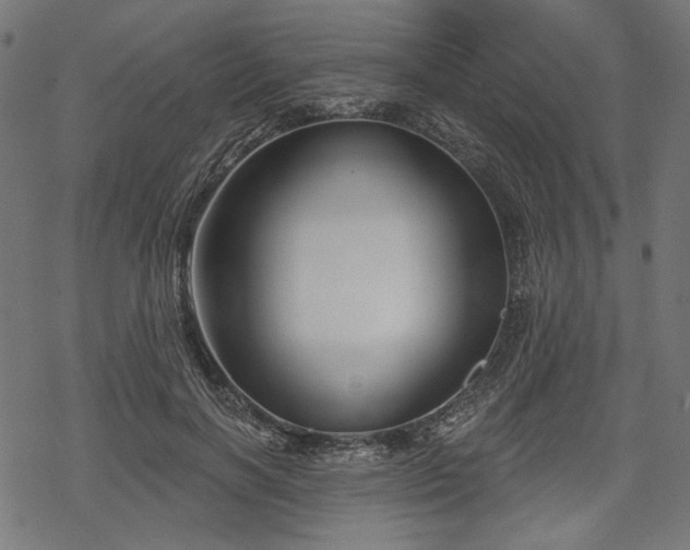 X0000068890646200605081321