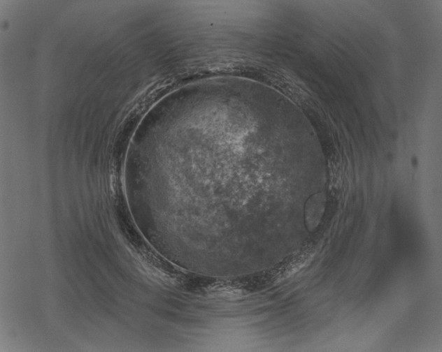 X0000068890648200605081321