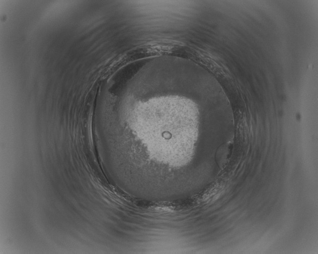 X0000068890649200605081321