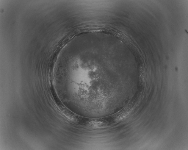 X0000068890650200605081321