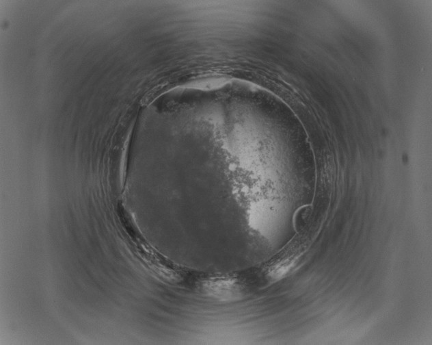 X0000068890651200605081321